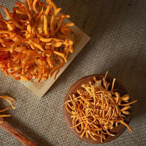 Sử Dụng Đông Trùng Hạ Thảo Thế Nào Cho Hiệu Quả